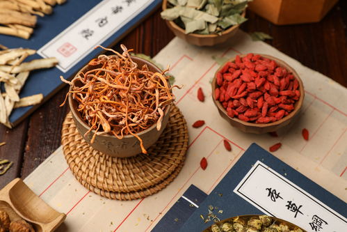 虫草花与北蛹虫草 中药摄影的艺术与价值